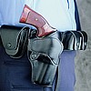 Security Pro (Level II)